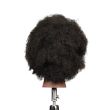ELV8 Zuri Premium Female Mannequin