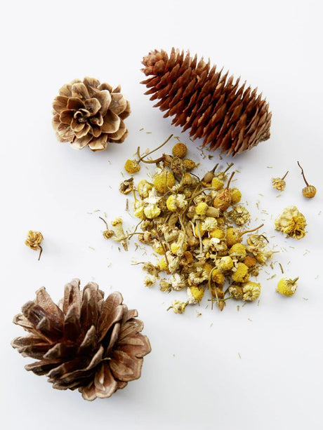 American Crew 3-IN-1 Chamomile + Pine 450ml